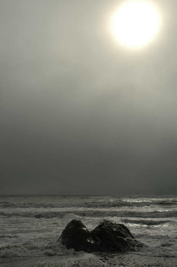 Ruby Beach Fog Photograph by Wanda Jesfield