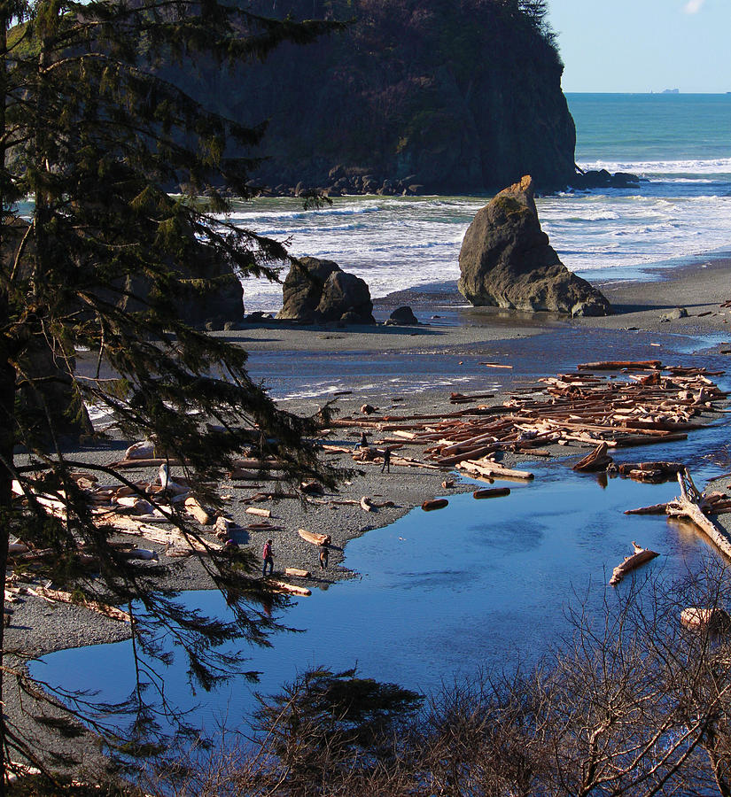 Beach Photograph - Ruby Beach III by Jeanette C Landstrom