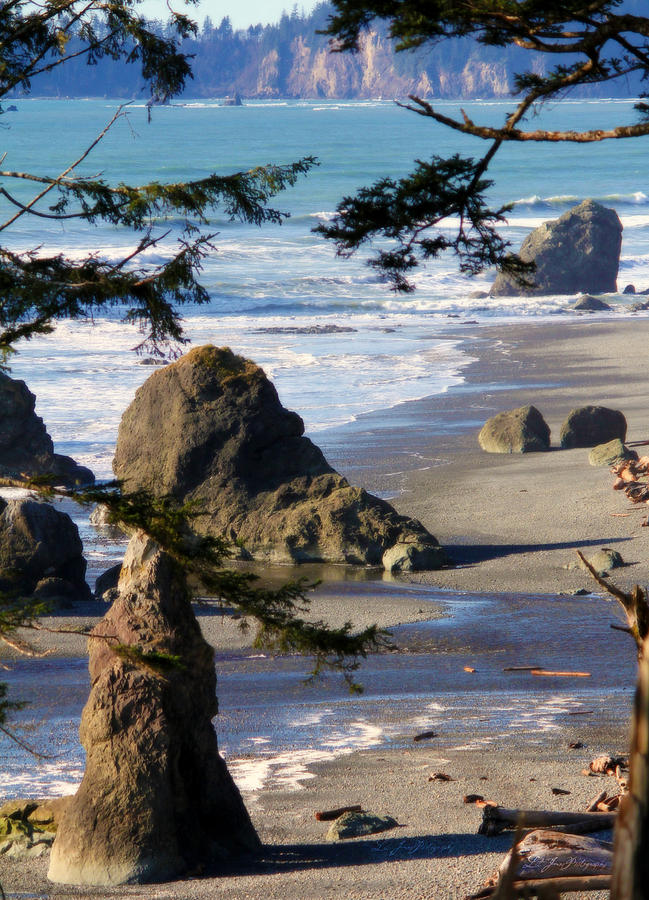 Ruby Beach IV Photograph by Jeanette C Landstrom