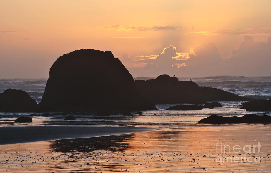 Ruby Beach Sunset Photograph by Frank Larkin