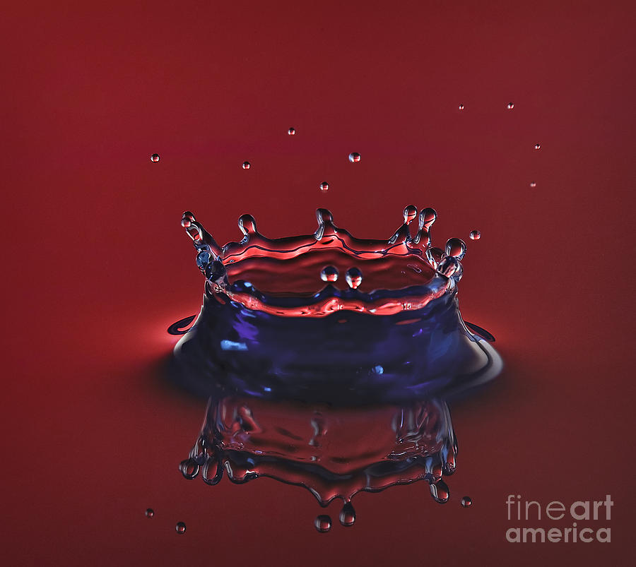 Water Photograph - Ruby Red Crown by Susan Candelario