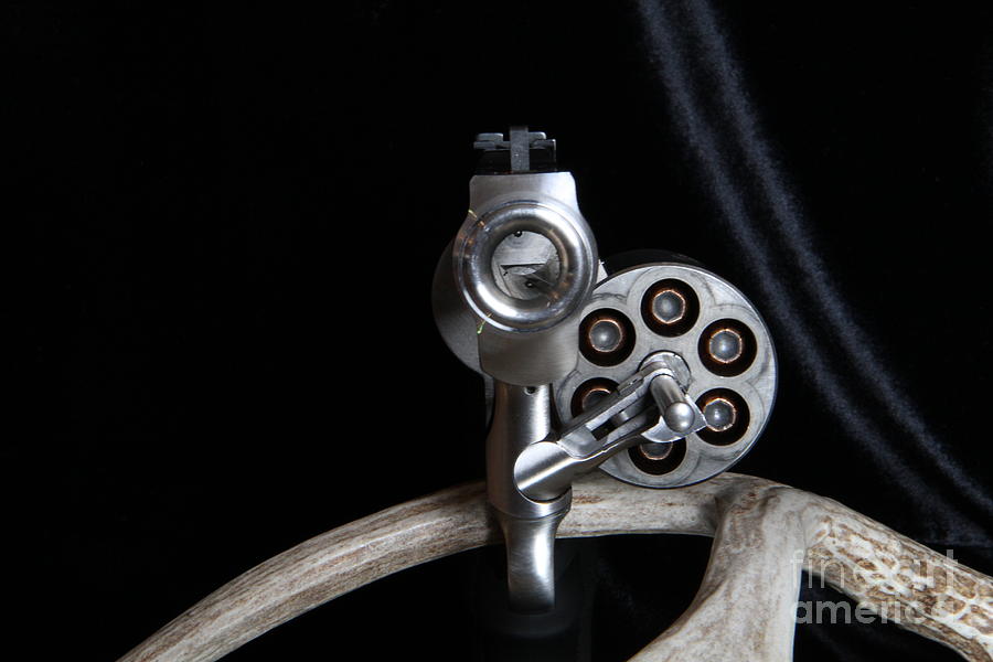 Ruger Super Redhawk Alaskan Photograph by Edward R Wisell