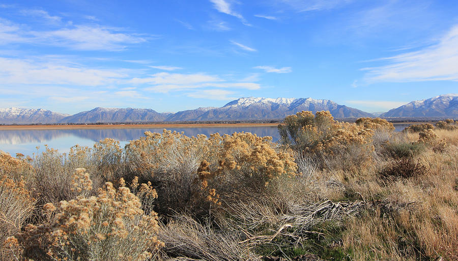 Rugged Lanscape of The Great Salt Lake Photograph by Mary Haber