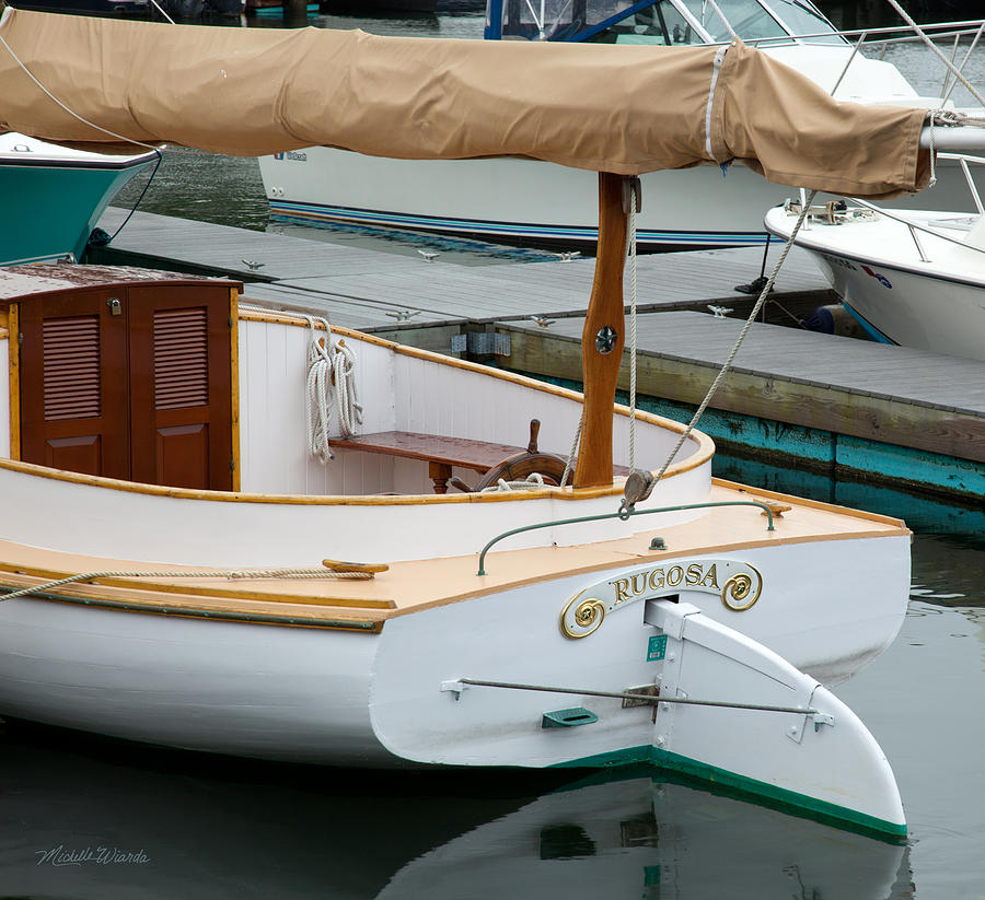 Boat Photograph - Rugosa Hyannis Massachusetts by Michelle Constantine