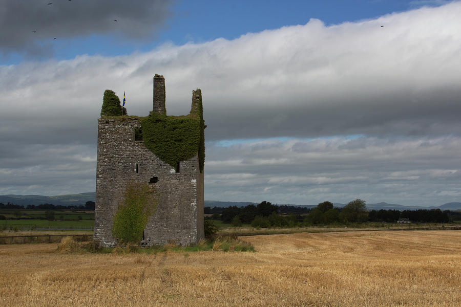 Ruins in hayfield Photograph by Celine Pollard
