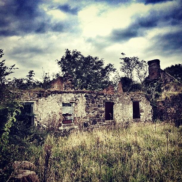 Tree Photograph - Ruins Of An Irish Cottage #irish by Noel Gormley