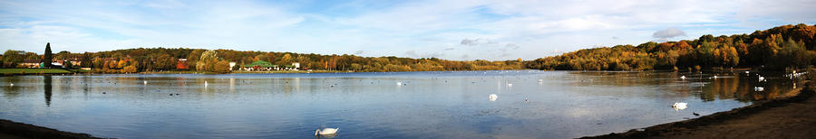 Ruislip Lido in Autumn Photograph by Chris Day
