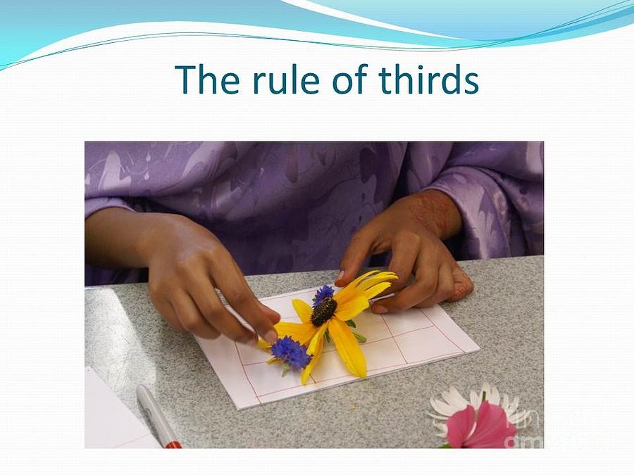 Rule of Thirds Painting by Carol Rashawnna Williams