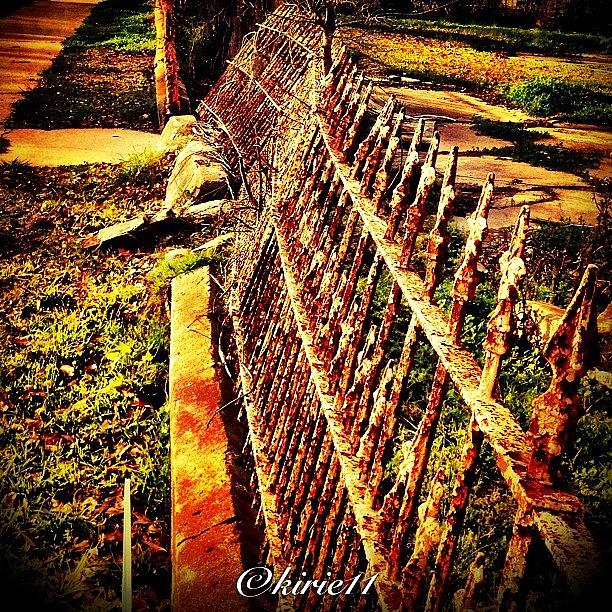 Beautiful Photograph - #runned #down #fence #fleurdelis by Kirsten Taubin