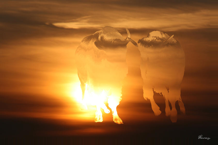 Running Buffalo Photograph by Andrea Lawrence