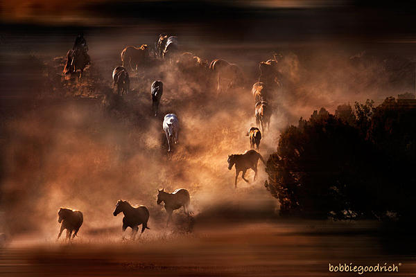 The West Photograph - Running Free by Bobbie Goodrich