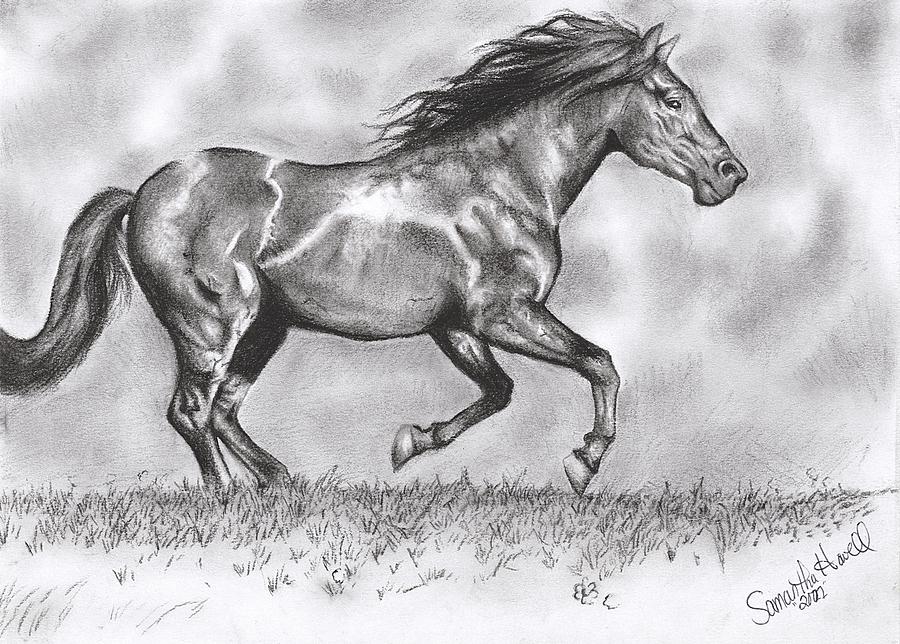Running Drawing by Samantha Howell | Fine Art America
