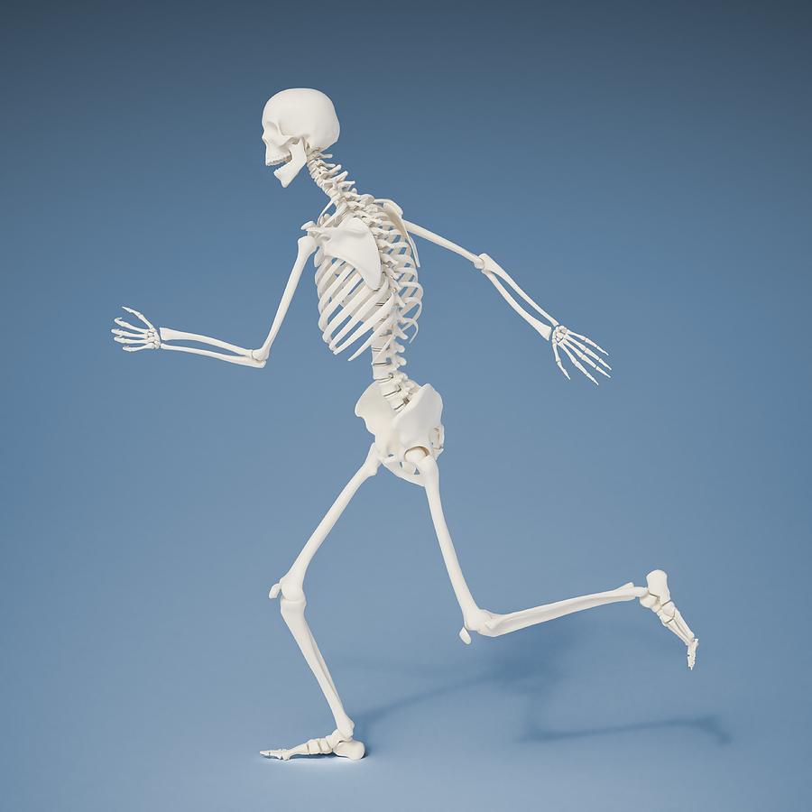 Running Skeleton, Artwork Digital Art by Andrzej Wojcicki | Fine Art ...