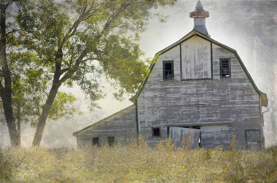 Rural America II Photograph by Christine Belt