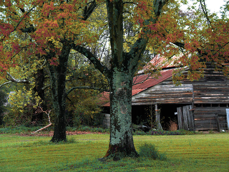 Rural Barn Fall South Carolina Landscape Photograph by Kathy Fornal