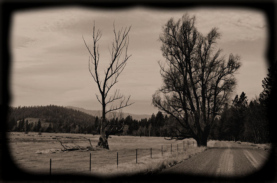 Nature Photograph - Rural daguerrotype style photograph - Along a Country Road by Light Shaft Images