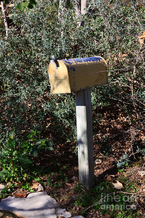 Rural mailbox with fading yellow and blue paint Photograph by Louise Heusinkveld