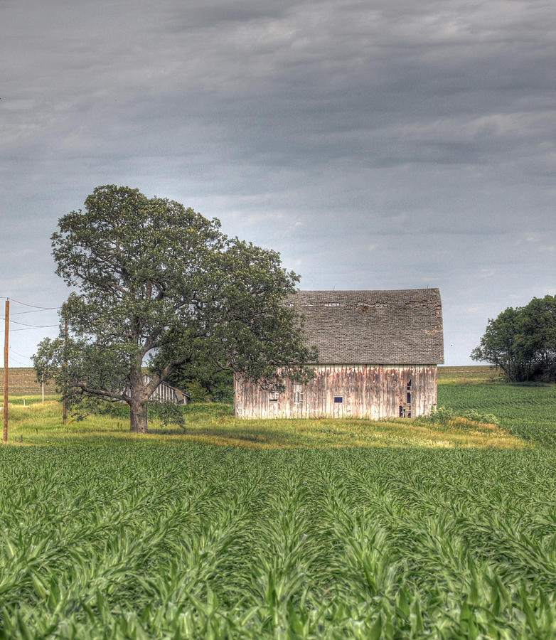 Rural Midwest Photograph by J Laughlin