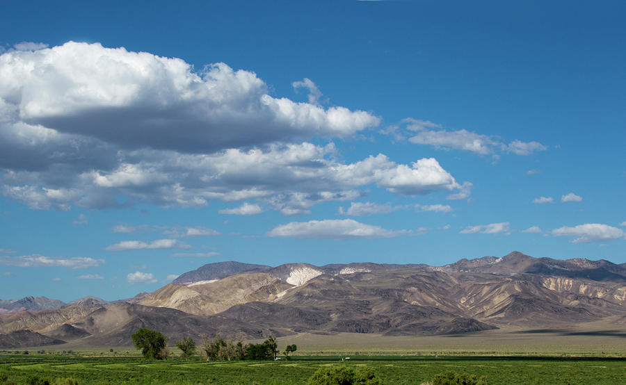 Rural Nevada Landscape Photograph by Brendan Reals - Fine Art America