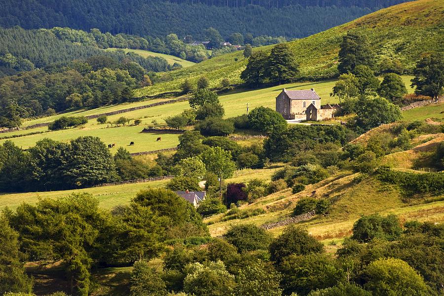 Rural Yorkshire Landscape  Photograph by John Short