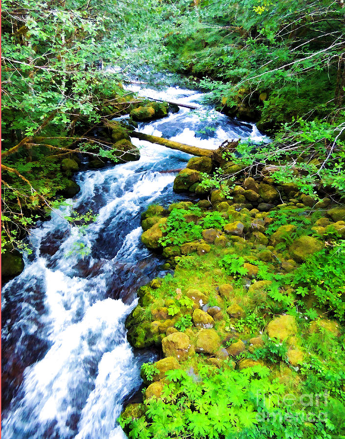 Rushing Mountain Stream Photograph by L J Oakes