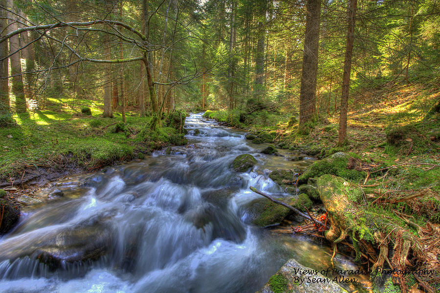 Rushing Mountain Stream Photograph by Sean Allen