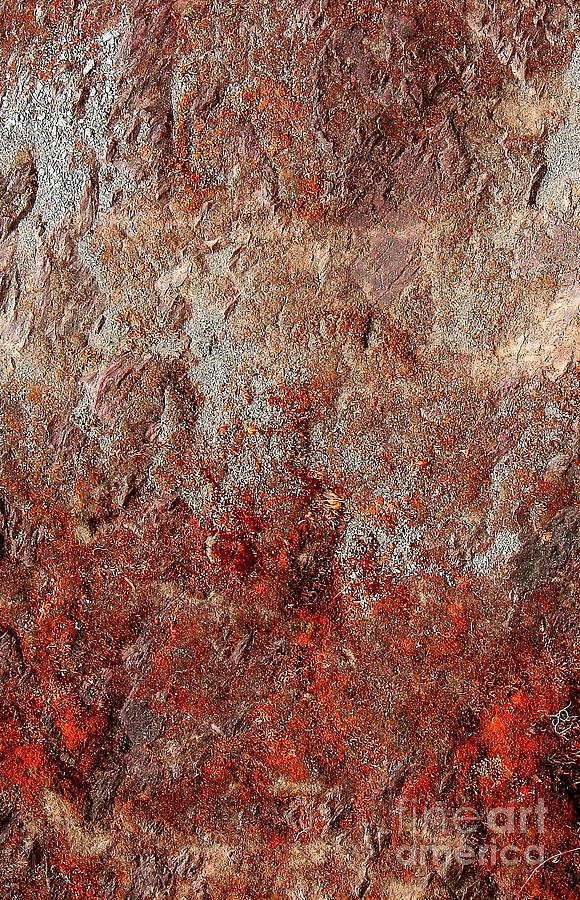 Abstract Photograph - Russet Stone by Michael Wyatt