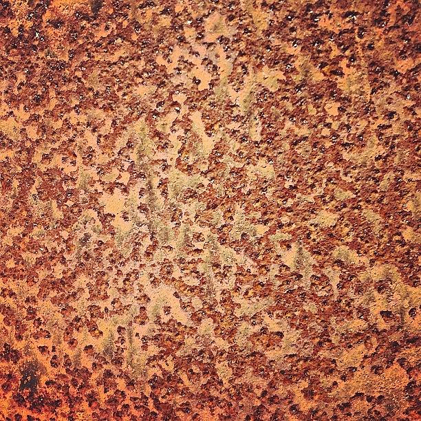 Rust Photograph - Rust by Nic Squirrell
