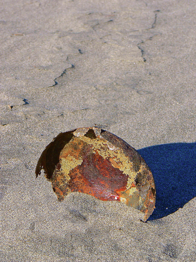 Rust On The Beach  Photograph by Pamela Patch