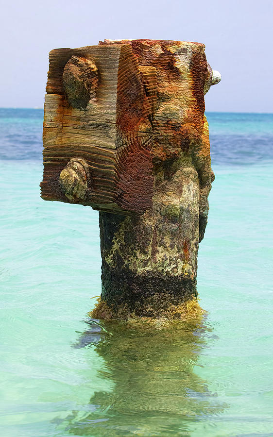Rusted Dock Pier of the Caribbean III Photograph by David Letts