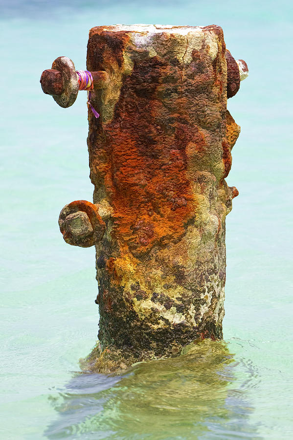 Rusted Dock Pier of the Caribbean VI Photograph by David Letts