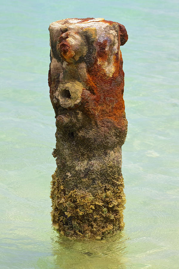 Rusted Dock Pier of the Caribbean VII Photograph by David Letts