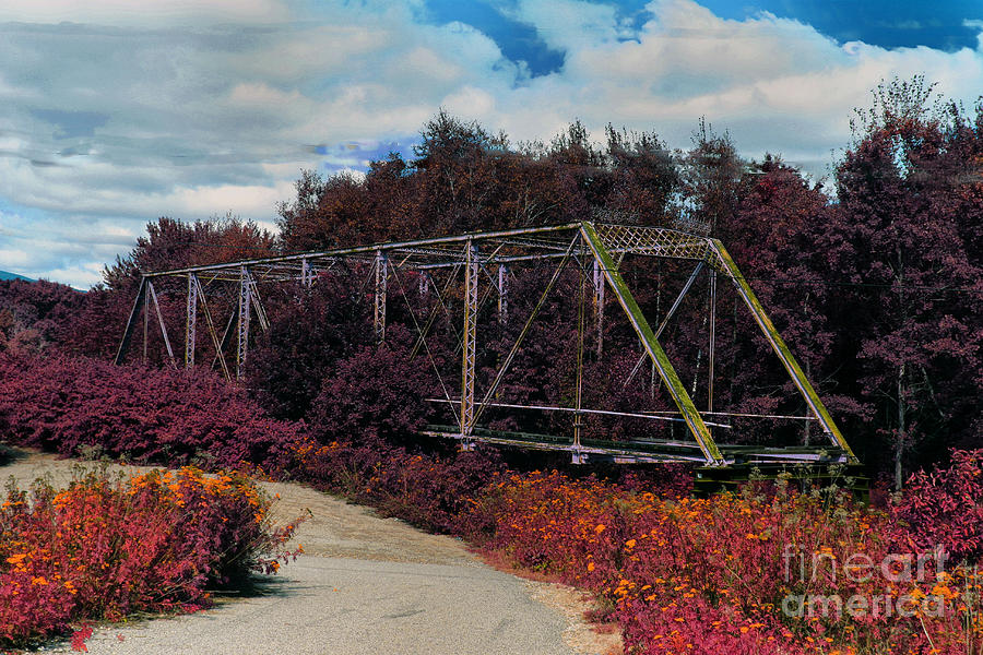 Rustic Bridge Photograph by Bill Barber