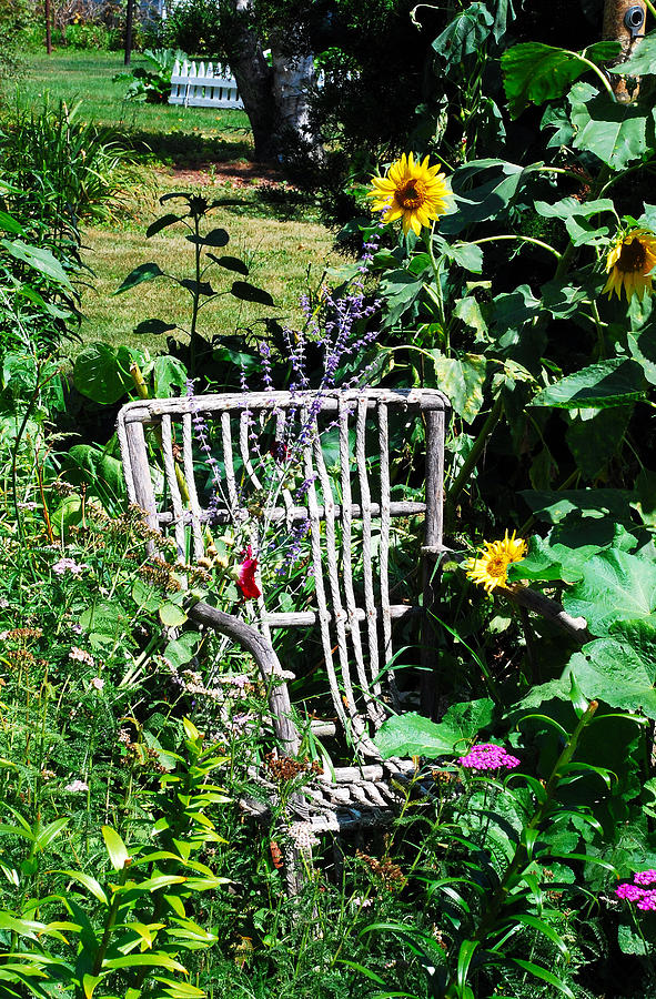 Rustic Chair In The Flowers Photograph by Janice Adomeit
