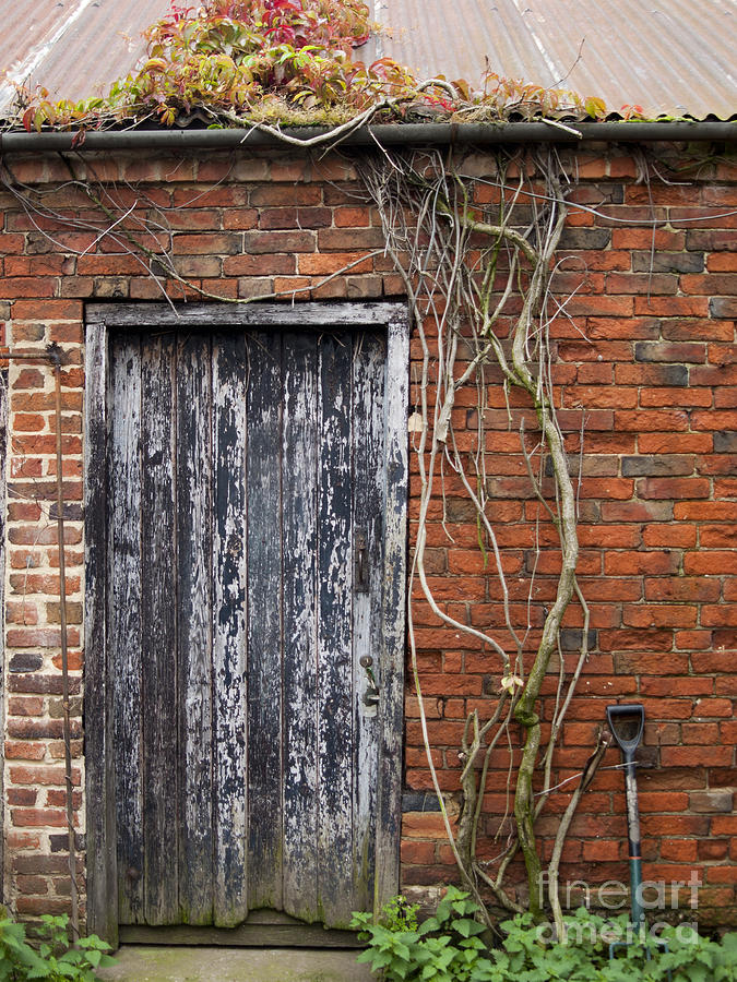 Rustic door Photograph by Steev Stamford