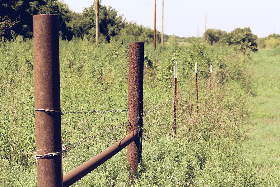 Rustic Fence Posts Photograph By Lindy Spencer