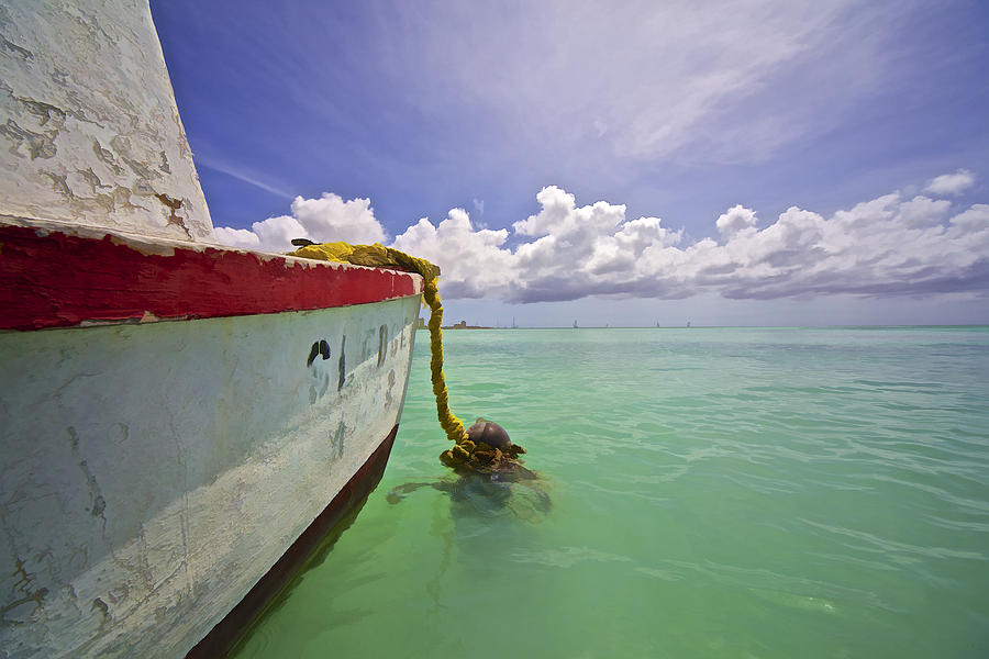 Rustic Fishing Boat of Aruba Photograph by David Letts