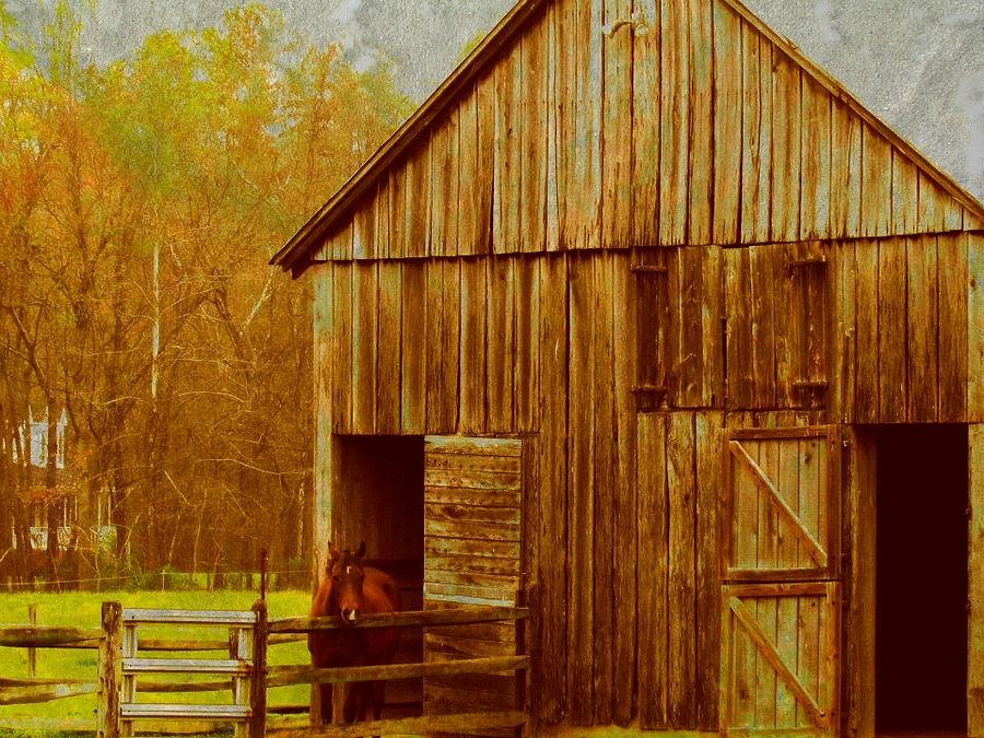 Rustic horse barn Photograph by Trish Clark - Fine Art America