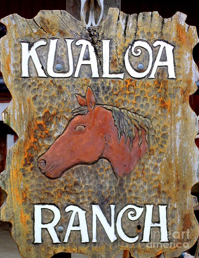 Rustic Kualoa Ranch Photograph by Mary Deal