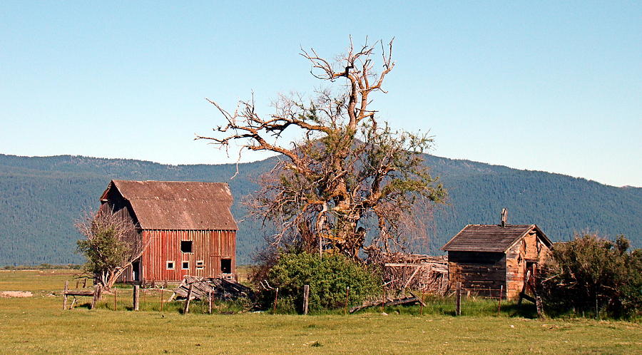 Rustic Old Homestead Photograph by Nick Kloepping