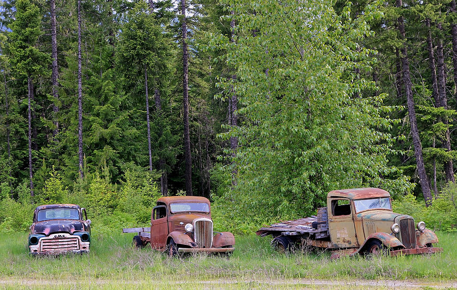 Rustic Truck Lineup Photograph by Athena Mckinzie