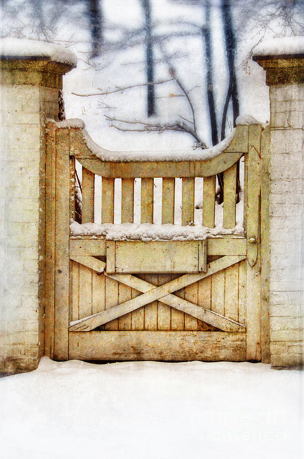 Rustic Wooden Gate in Snow Photograph by Jill Battaglia