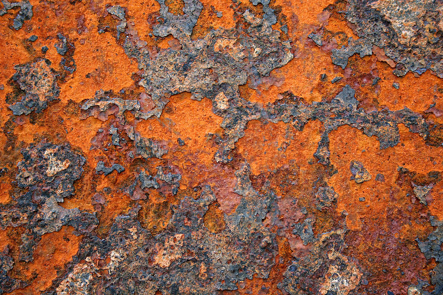 Rusting Away Photograph by Ric Bascobert