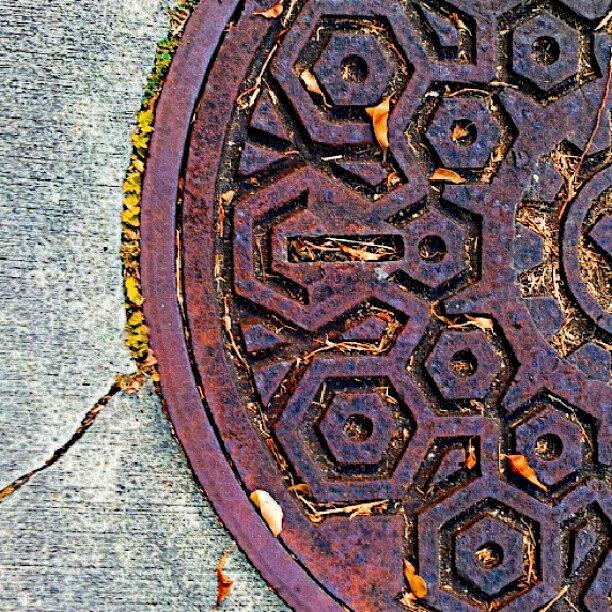 Pattern Photograph - Rusty / Manhole Cover by Elisa Franzetta