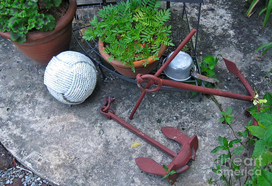 Rusty Anchors in the Garden  Photograph by Nancy Patterson