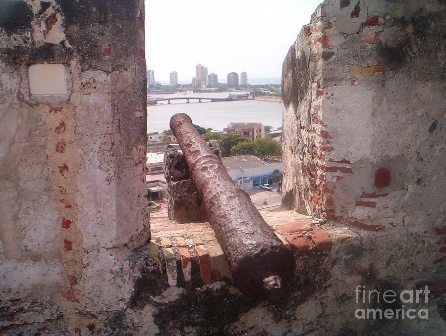 Rusty Cannon Photograph by Terry Hunt - Fine Art America