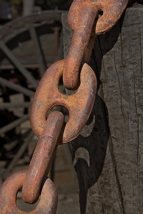 Rusty Chain Links Photograph by Phyllis Denton