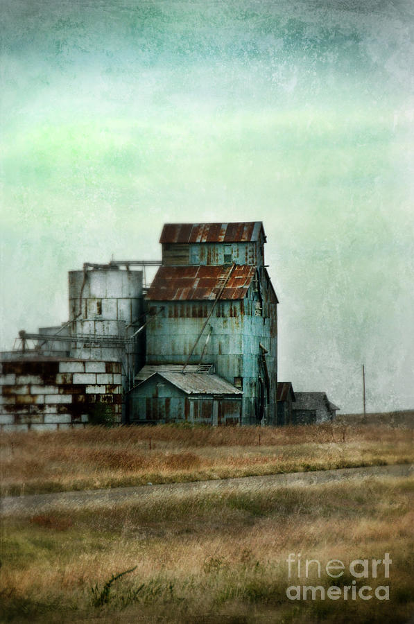 Rusty Grain Elevator Photograph by Jill Battaglia