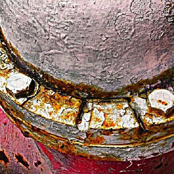 Pittsburgh Photograph - Rusty Hydrant by Elisa Franzetta