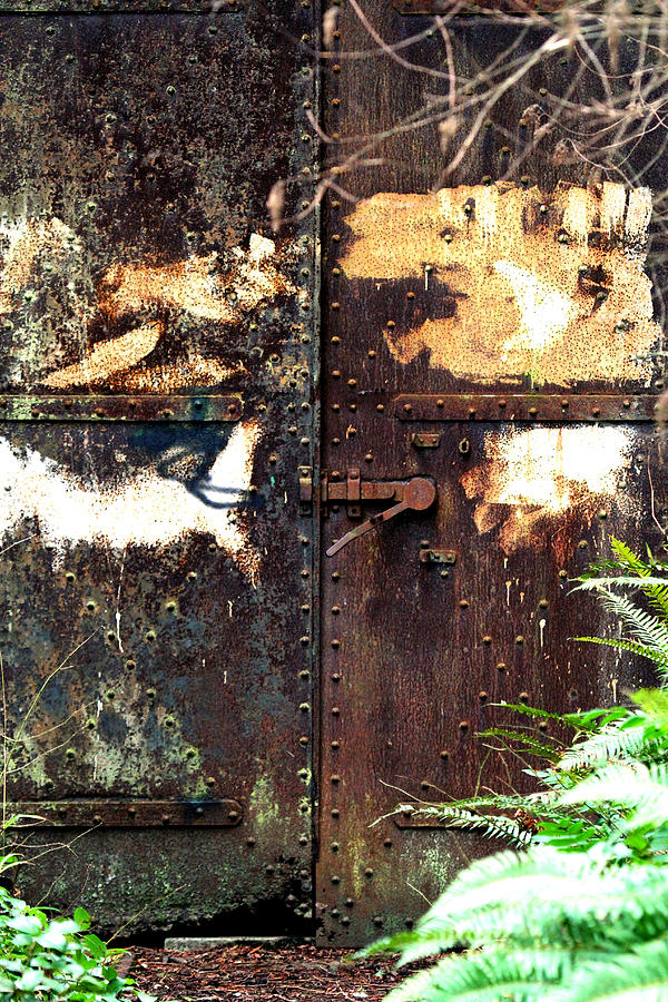Rusty Iron Door Photograph by Marie Jamieson